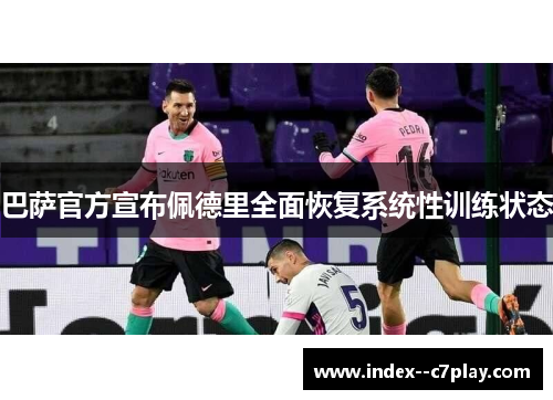 巴萨官方宣布佩德里全面恢复系统性训练状态 巴萨官方宣布佩德里全面恢复系统性训练状态