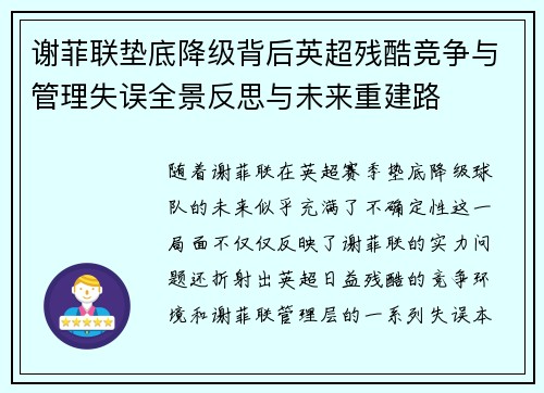 谢菲联垫底降级背后英超残酷竞争与管理失误全景反思与未来重建路
